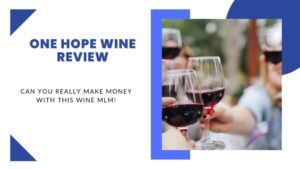 One Hope Wine MLM featured image
