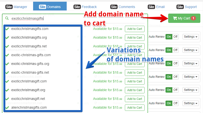 How I bought cool domain names from Wealthy Affiliate using their Sitedomains