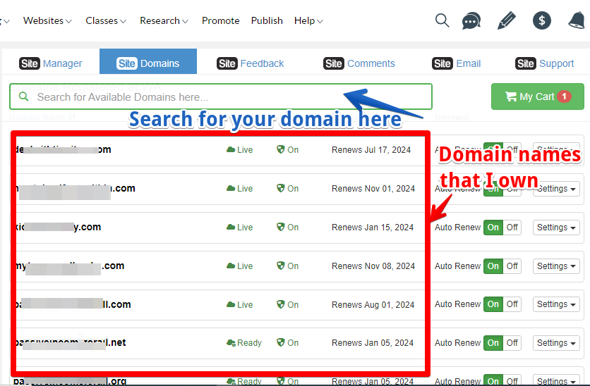 How to buy your domain name using the easy to use Sitedomains at Wealthy Affiliate