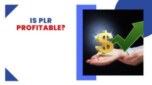 Is PLR Profitable this is the featured image