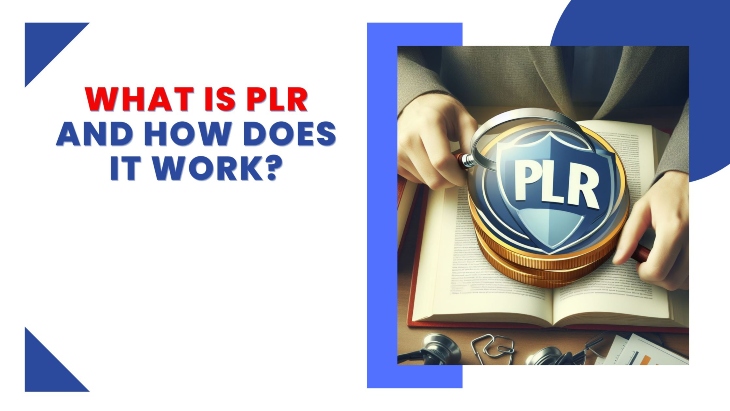 This is a featured image of what is PLR and How It Works